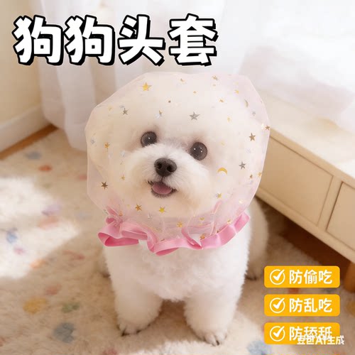 洁癖小仙女遛狗【防脏防乱吃】