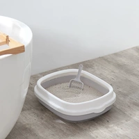 Кошачьи кошка маленькая кошачья полугравенная дезодоранта