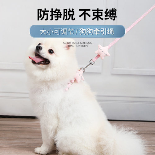 小狗狗夏天链子宠物用品牵引绳