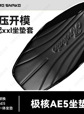 极核AE5坐垫2.0版本坐垫一体座