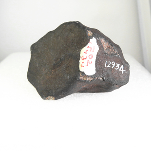 澳大利亚Wiluna目击降落陨石普通球粒H5完整原石馆藏品 猎陨藏星