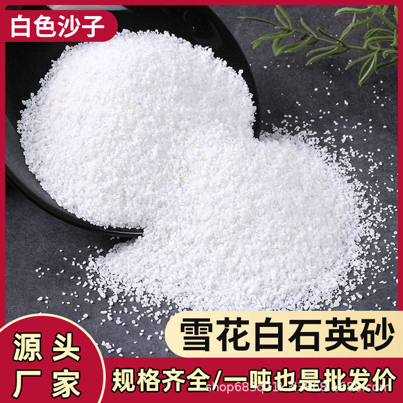 雪花白沙子石英砂白色细砂草坪填充厂家批发地坪涂料儿童娱乐