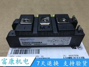 DM2G100SH6A DM2G100SH6N 100A 600V