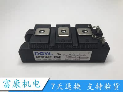 IGBT模块 DM2G100SH12AE