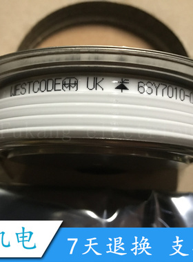 6SY7010-0AA41 0AA42 0AA45 0AA47 0AA49 0AA50 0AA52 晶闸管模块