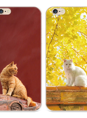 宫廷大橘猫适用iPhone13苹果7plus手机壳6s8可爱14promax文艺女款软se第二2三3代六七八