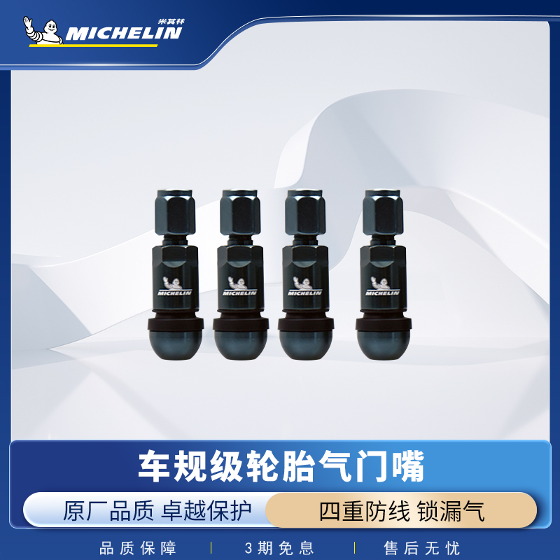 米其林气门嘴轮毂帽盖包安装