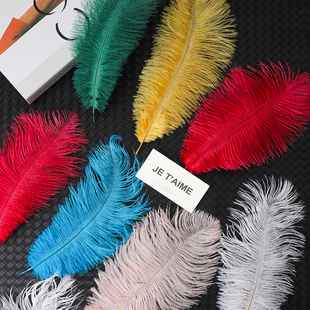 七色堇羽毛装饰花束包装鲜花包花手工diy材鲜花包装