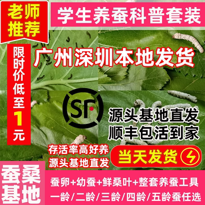 蚕桑基地源头直发蚕宝宝当天发货