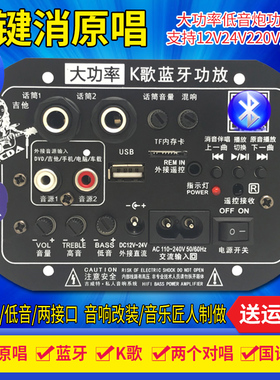 一键消原唱 双话筒k歌大功率蓝牙功放板12V24V220V低音炮功放板