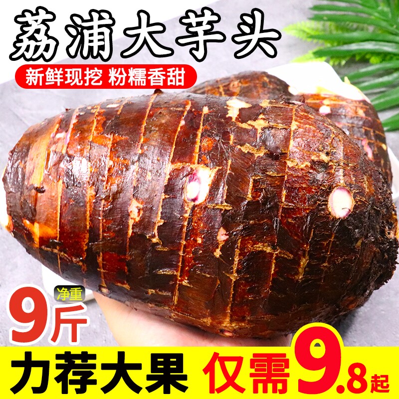 广西荔浦新鲜大芋头农家现挖粉香芋正宗整箱特产槟榔芋艿紫藤毛芋