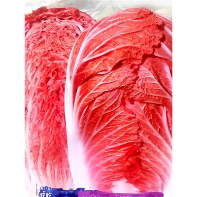 火凤凰白菜种子橘红心鸡蛋黄白菜种籽秋播耐寒青菜农家菜园蔬菜孑