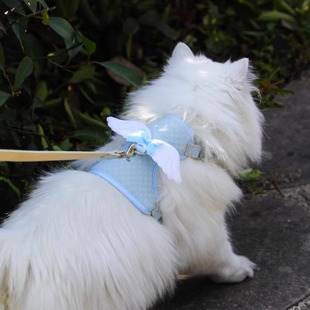 幼猫牵引绳超小号工字型防挣脱小奶猫外出遛猫绳猫咪胸背带可调节