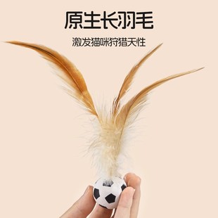 猫咪小猫咪形磨牙棒 羽毛逗猫球弹力自嗨解闷神器自动逗猫棒新款