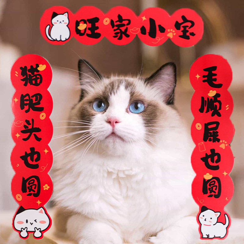 猫咪对联2026新年对子喜庆装扮宠物狗狗兔子过年迷你小门联春联贴,宠物/宠物食品及用品,宠物用品定制周边,淘宝优惠券,粉丝福利购,淘宝优惠卷