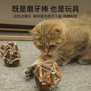 猫玩具木天蓼猫薄荷球自嗨解闷神器兔子磨牙棒耐咬幼猫咪用品大全
