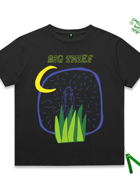 超火cec短袖原宿风街头艺术涂鸦Big thief乐队男女情侣半截袖T恤