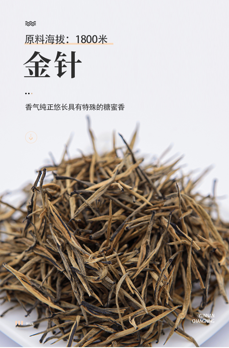 遐尔滇红云南昌宁大叶种金针保山