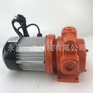 减速泵大头泵车载加油机油泵石油配件加油机配件柴油加油泵