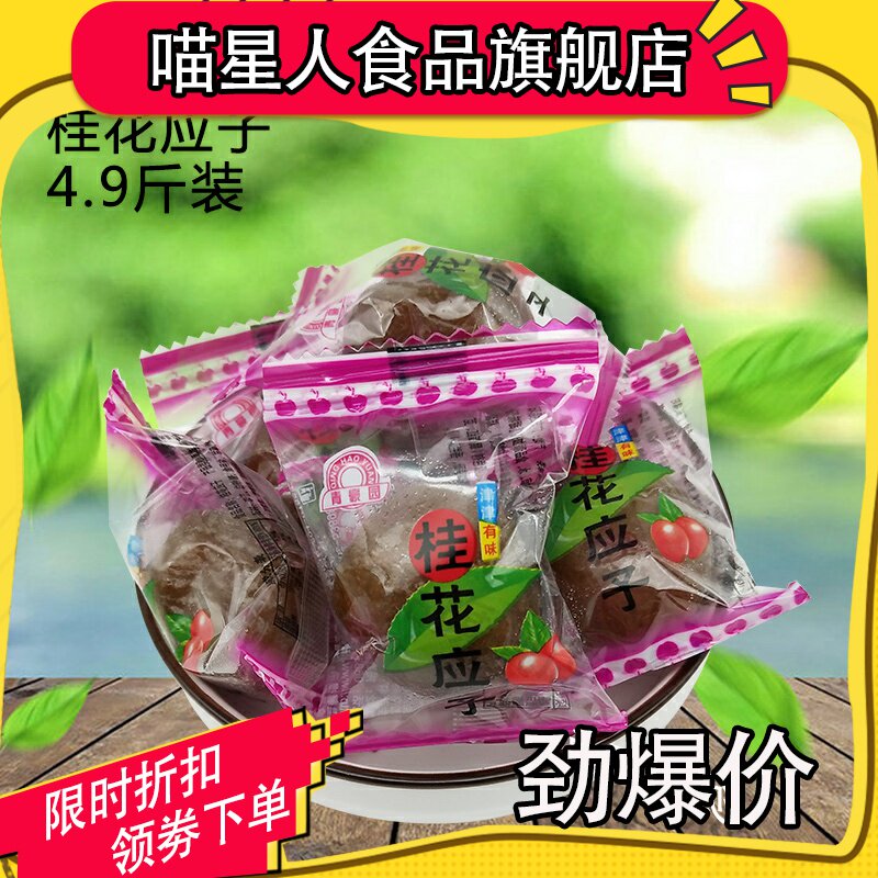 喵星人广式蜜饯 桂花加应子李子蜜饯果干果脯休闲零食小吃独立包