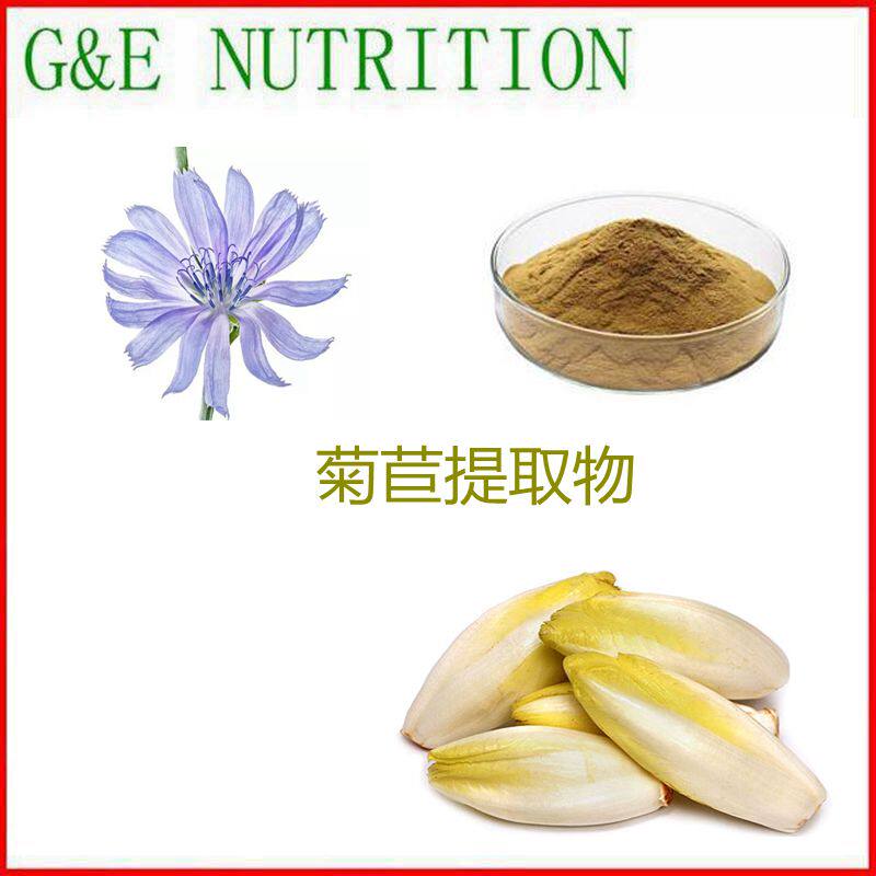1000g 纯天然 菊苣提取物 菊苣浓缩粉 10:1 现货 包邮