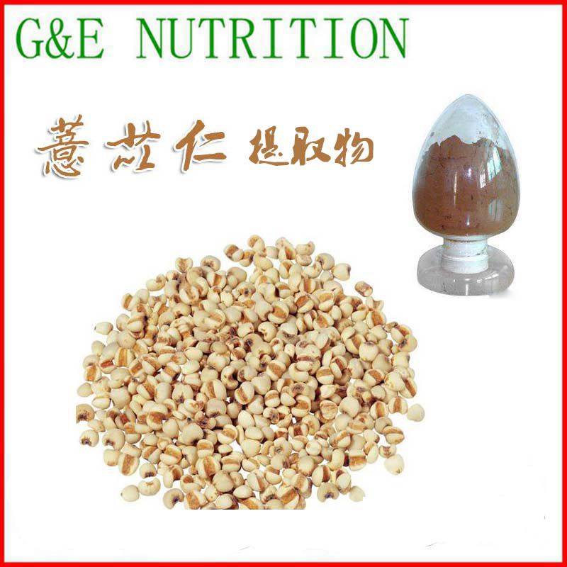 100g 薏米提取物 10:1 浓缩粉末 薏米 薏苡仁提取物 包邮