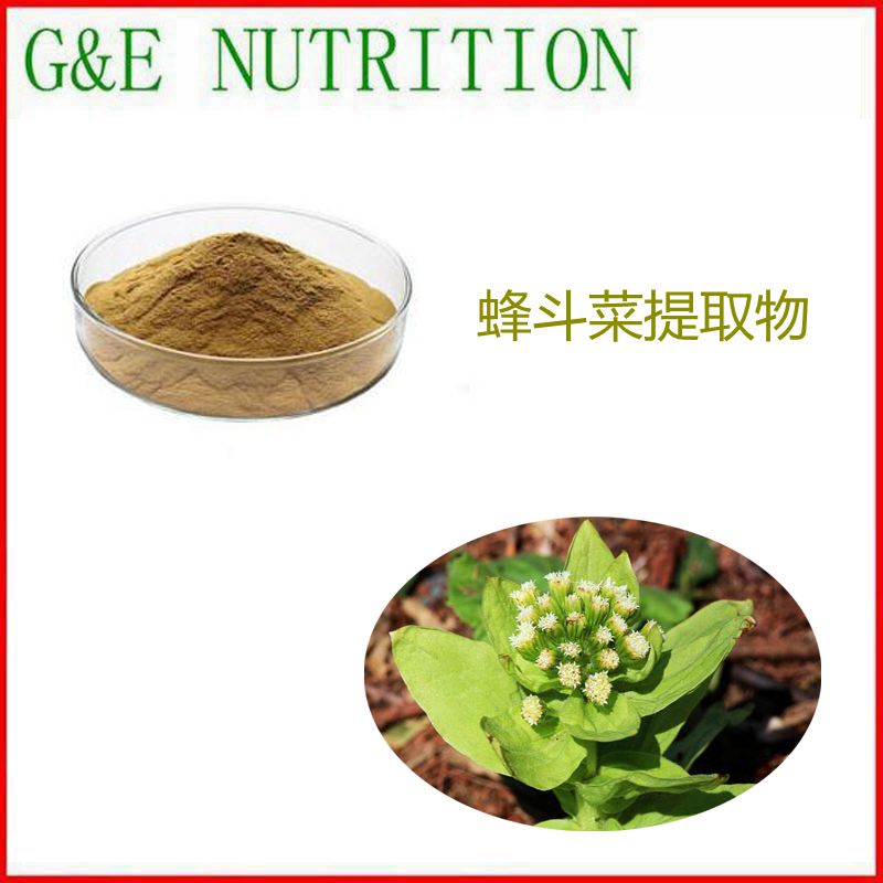 1000g 纯天然蜂斗菜 款冬花提取物 植物浓缩粉 10:1 包邮