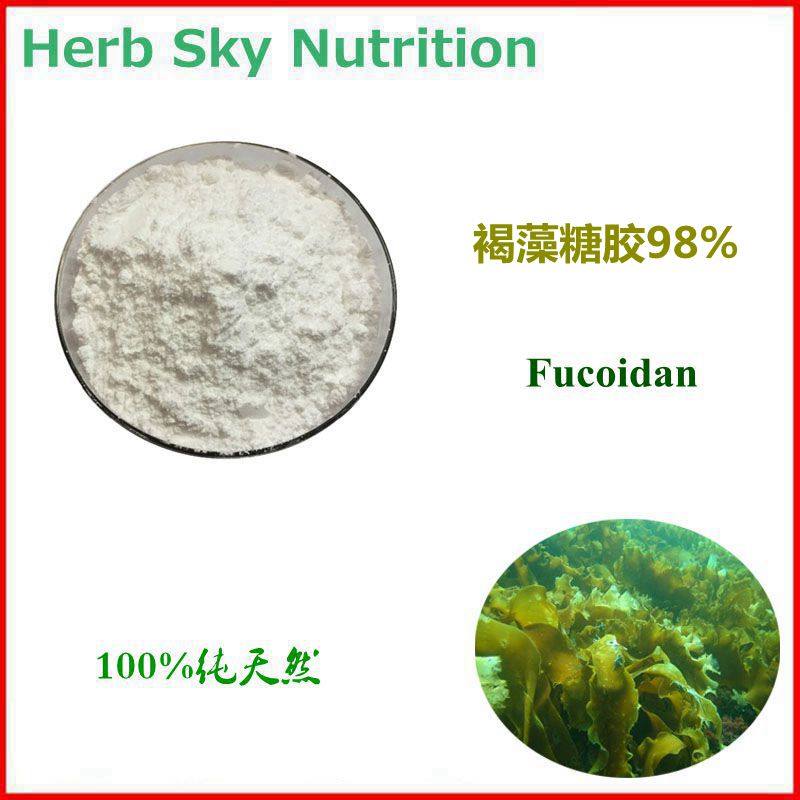 500g 纯天然褐藻糖胶98% 海藻 Fucoidan 科研品质 包邮现货