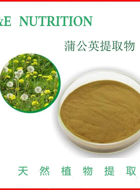 蒲公英提取物 10:1 蒲公英粉 1000g 包邮 新品优惠