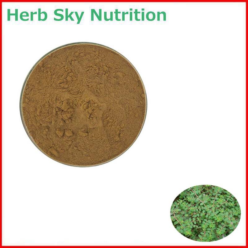 500g 纯天然 20:1 地锦草提取物 红丝草奶浆草浓缩粉 包邮现货