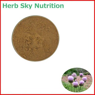 500g 纯天然 20:1 小蓟提取物 刺儿菜浓缩粉末 水溶性 包邮现货