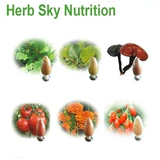 100 г чистого натурального бетеля экстракт гайки бетеля ореха концентрированной порошок 10: 1 Бесплатная доставка