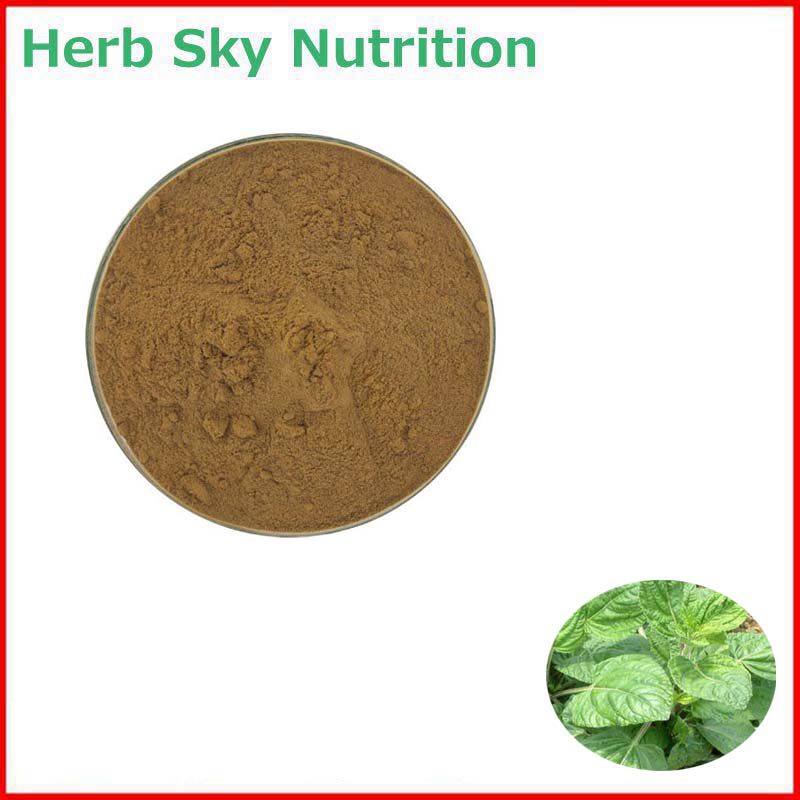 1000g 纯天然 20:1 石见穿提取物 华鼠尾草浓缩粉末 包邮现货