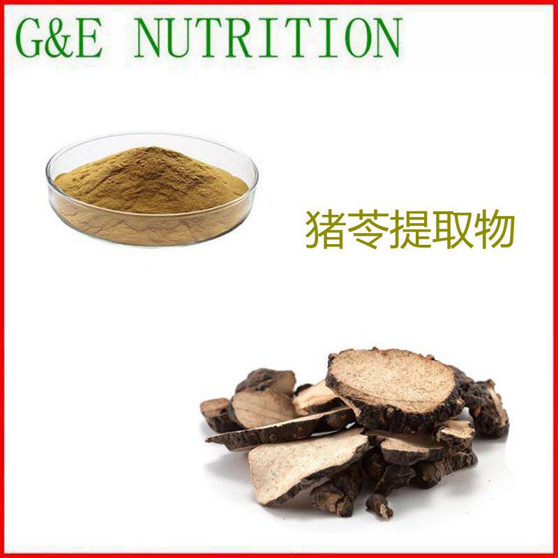 500g 纯天然 猪苓提取物 猪苓植物浓缩粉 10:1 工厂直销 包邮