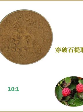 纯天然 穿破石提取物 柘根川破石穿破石 10:1 包邮现货
