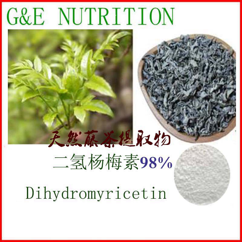 天然 二氢杨梅素98% 高含量藤茶提取物 包邮 50g