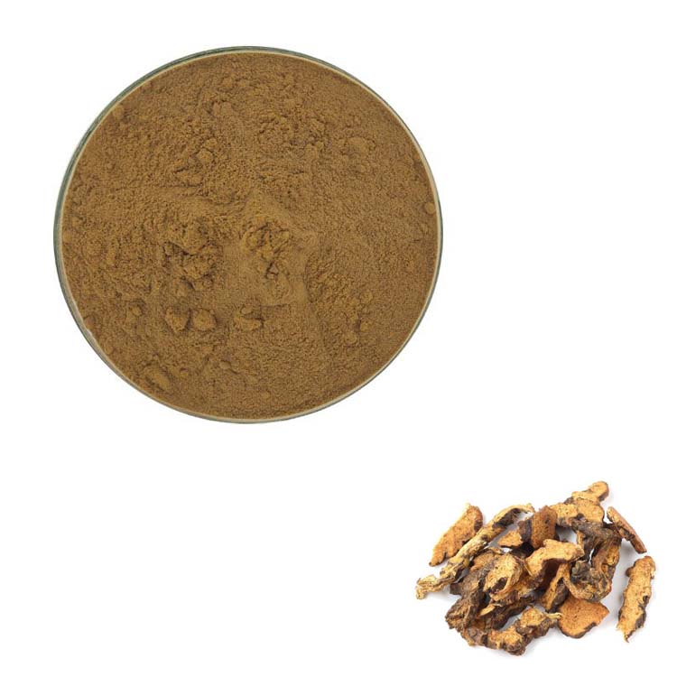 500g 纯天然 20:1 苍术提取物 高含量浓缩粉末 包邮现货