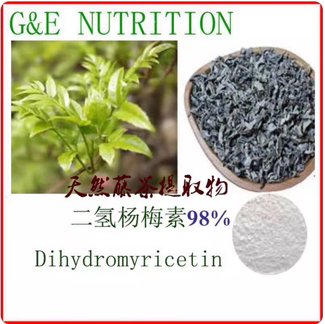天然藤茶提取物 二氢杨梅素98% 50g 包邮