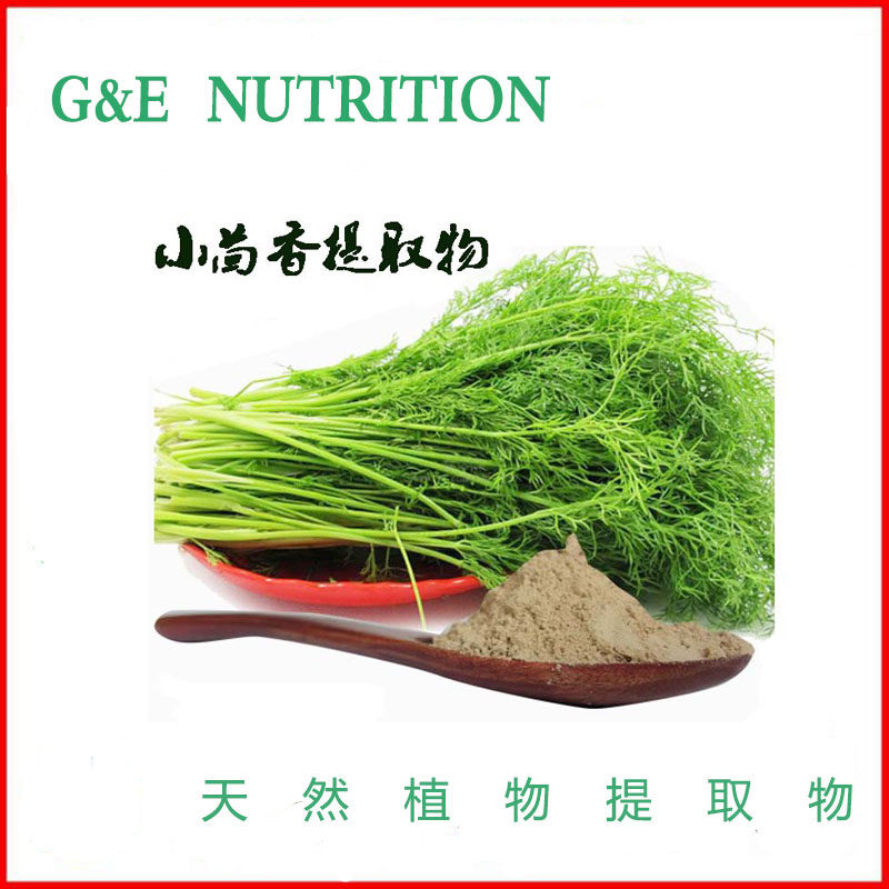 天然小茴香提取物 10:1 浓缩粉末 包邮 500克
