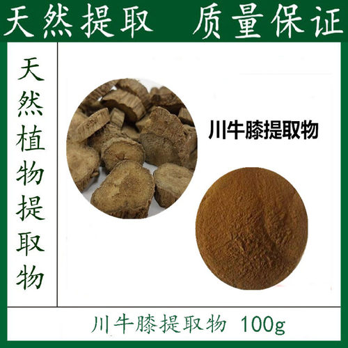 川牛膝提取物粉 10:1 1000g 包邮 天然植物原料 厂家直销