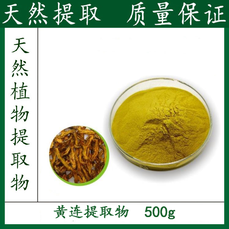 黄连提取物10:1 黄连粉 黄连素含量500g全国包邮 厂家直销