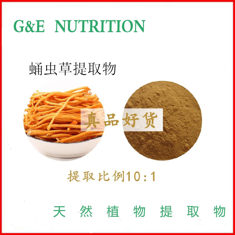 虫草花提取物 蛹虫草提取物粉末 500克/袋 优惠新品 包邮