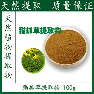 猫抓草提取物粉末 10:1 植物提取物 猫抓草粉 100g 包邮 新品优惠