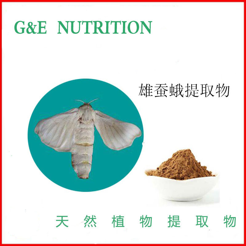 优质 雄蚕蛾提取物10:1 雄蚕蛾粉 厂家直销 包邮 100克/袋