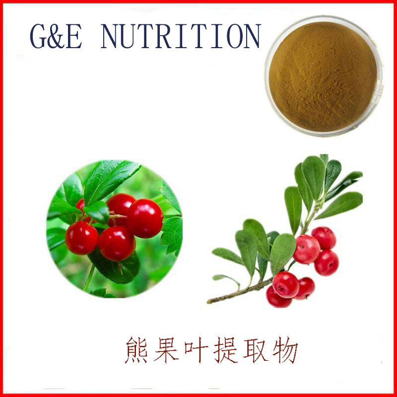 熊果叶提取物10:1 100g/袋装 量大优惠包邮