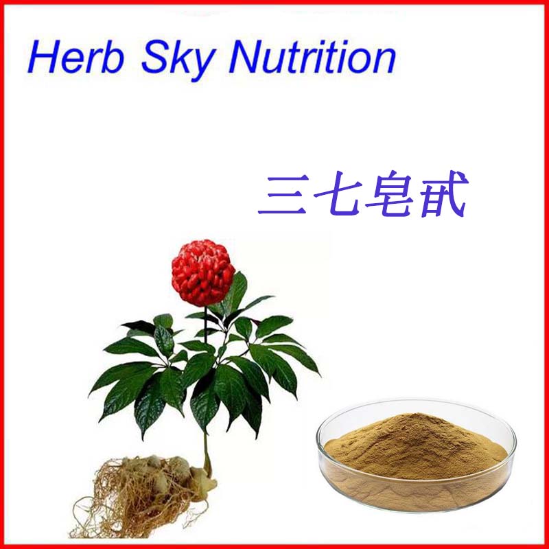 纯天然 三七皂甙80% 纯天然三七提取物 100克每包 包邮