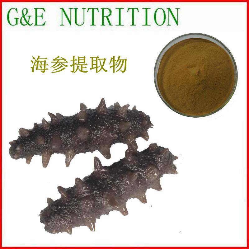 500g 海参提取物 10:1 海参浓缩粉  海参甙苷 包邮 量大优惠