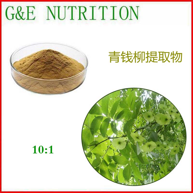 500g 工厂直销 青钱柳提取物粉 10:1 天然植物提取物粉末 包邮