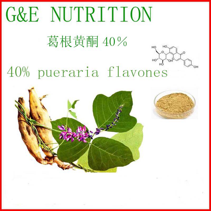 纯天然 葛根黄酮40% 葛根异黄酮 工厂直销 现货包邮 品质保证