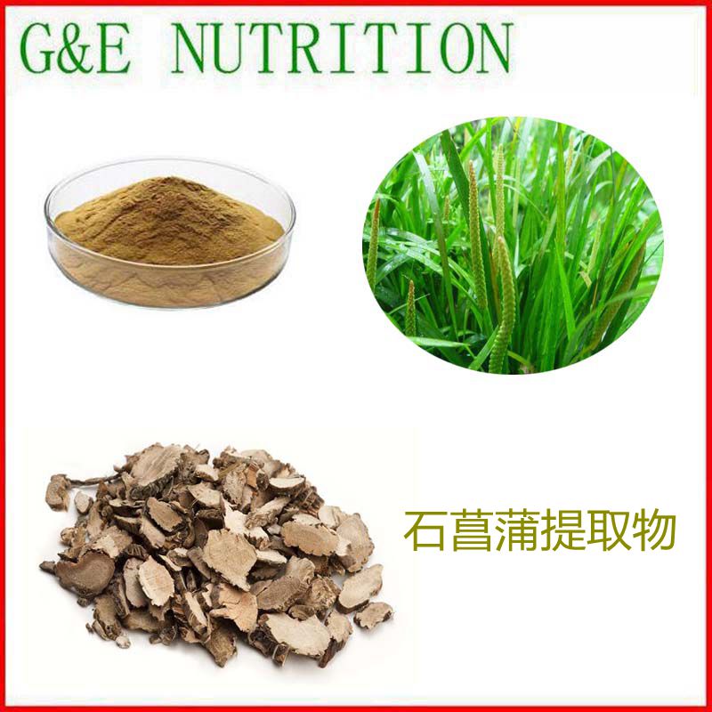 500g 纯天然 石菖蒲提取物 植物浓缩粉 10:1 包邮 现货
